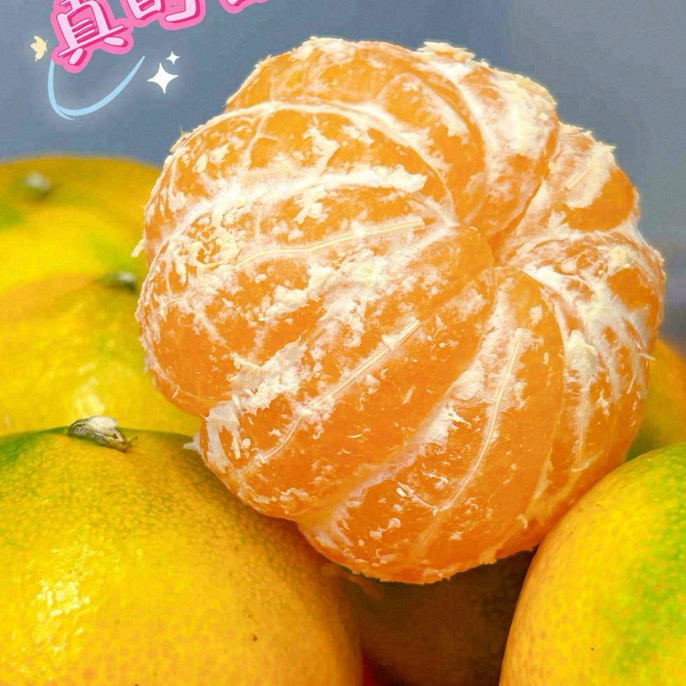 高山红土蜜橘纯甜，15元2斤浙江省