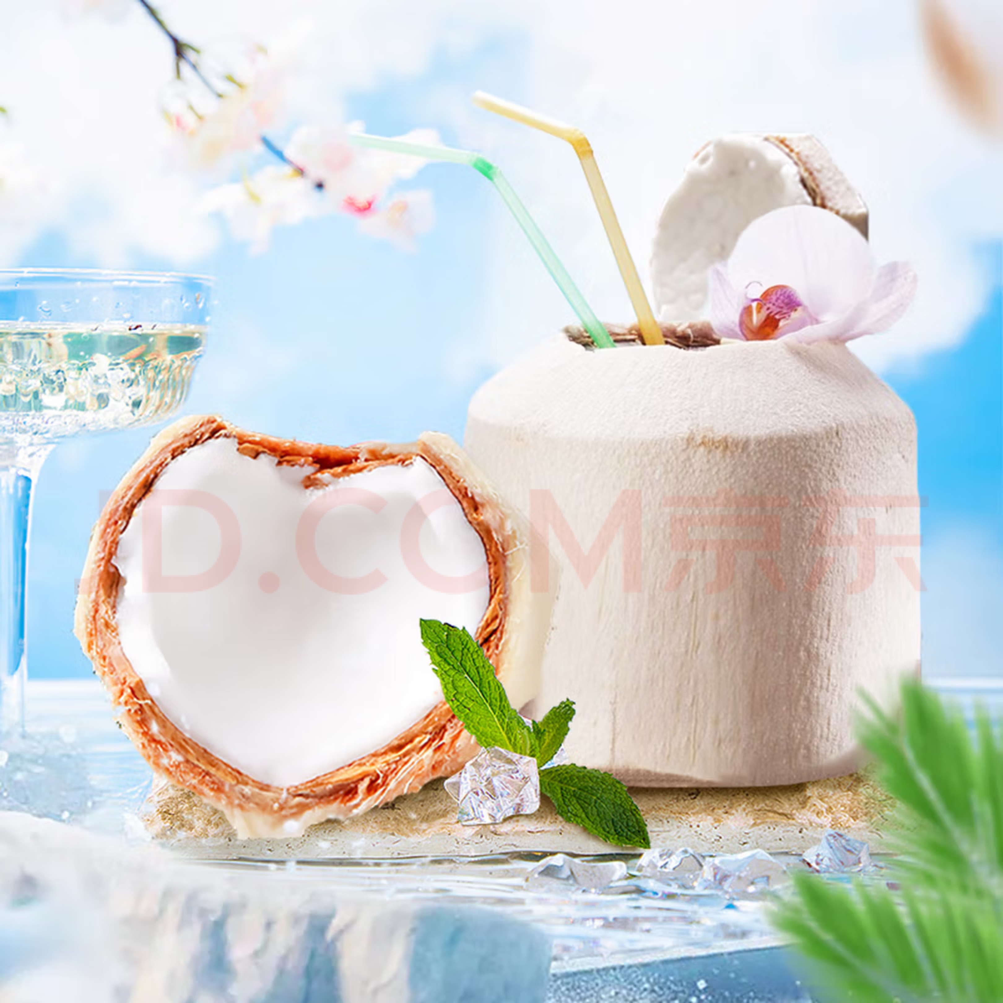 泰国椰青单个500g进口清凉一夏富含各种维生素单点不送