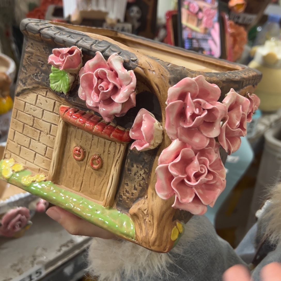 花盆，拍满20发货，退款拉黑