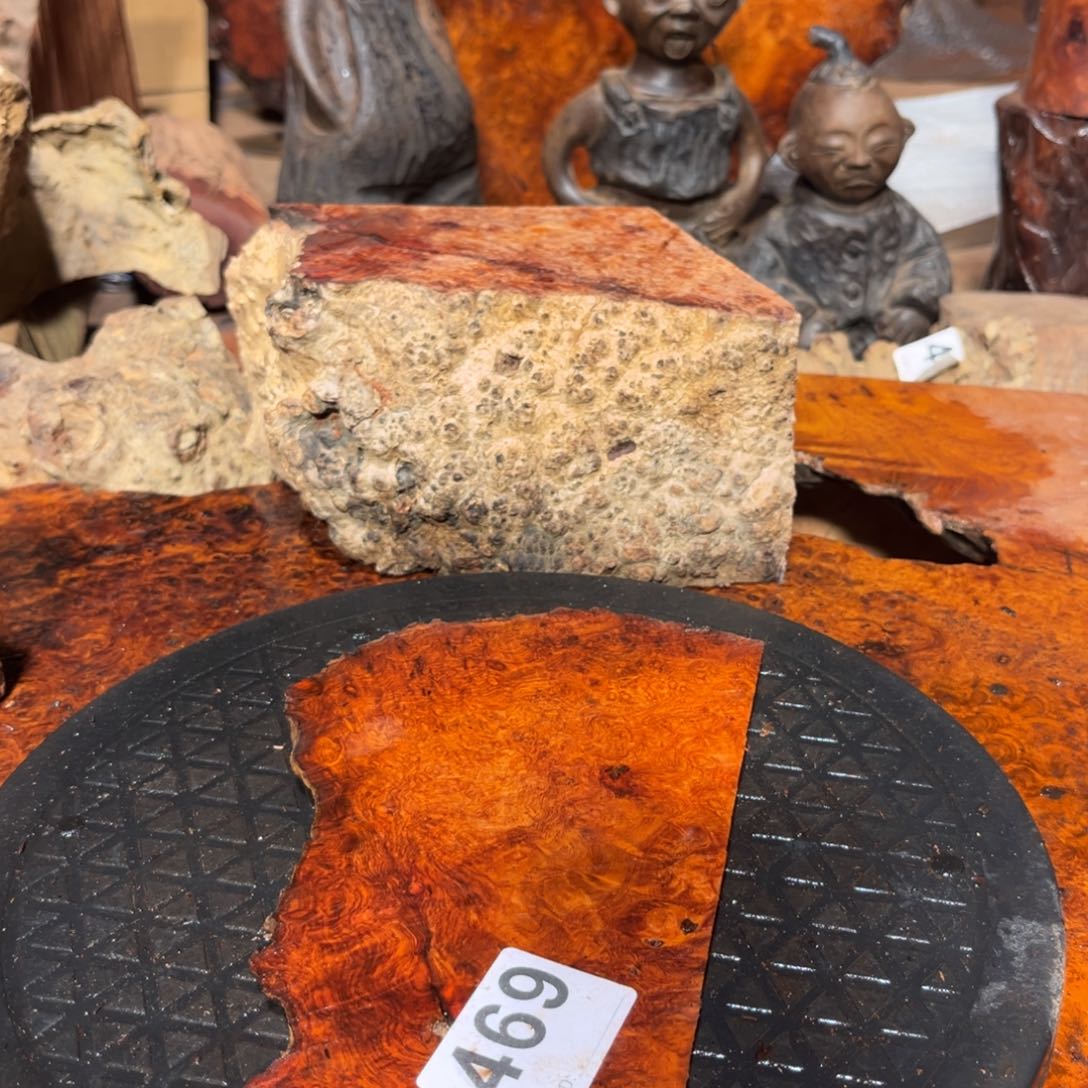 大果紫檀（缅甸花梨）