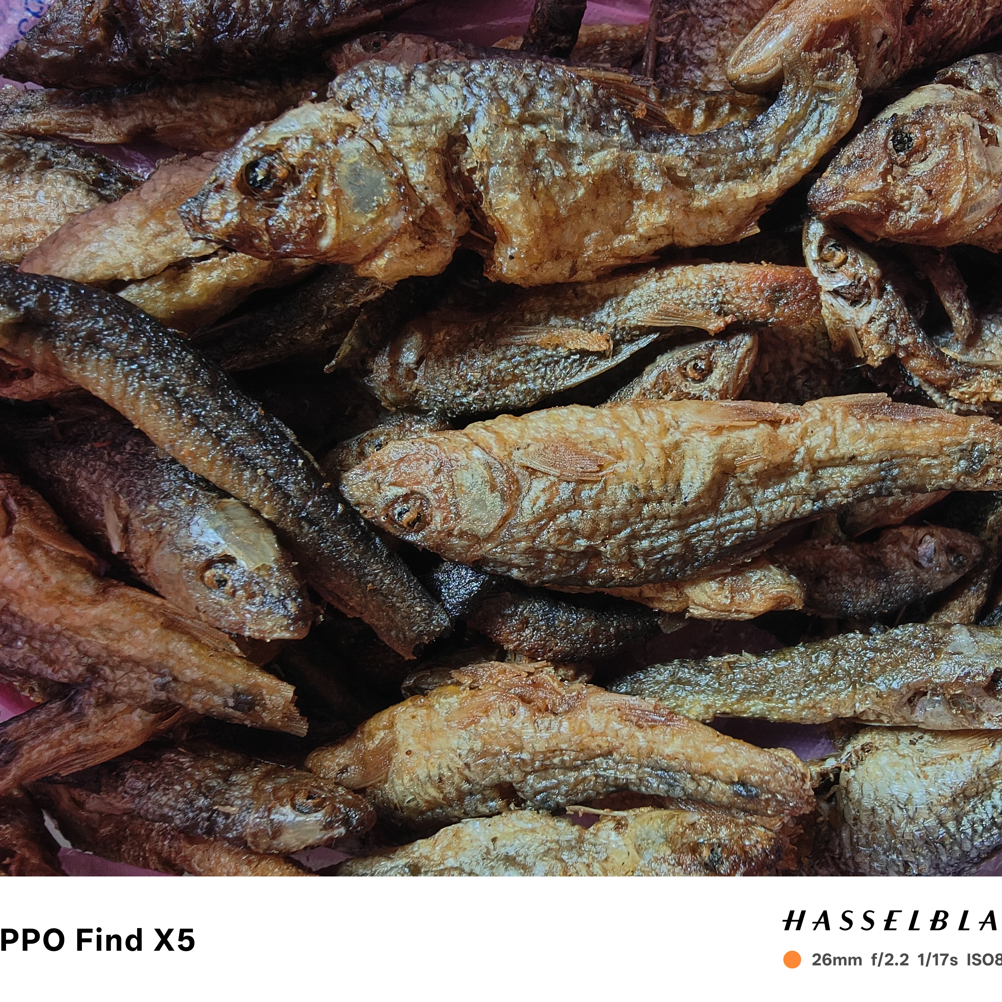 湖南桂阳农家本地野生鱼溪石斑