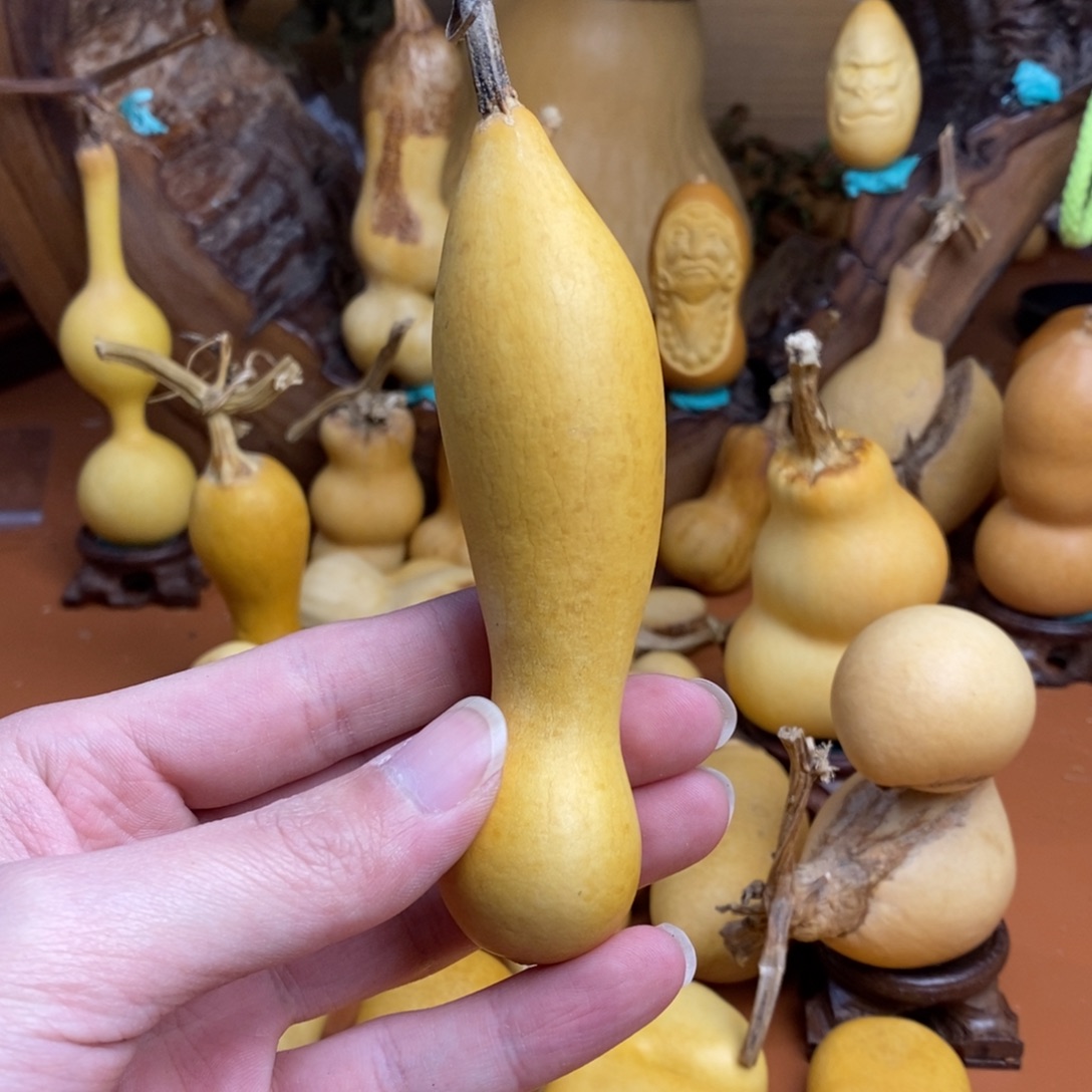 子***川咯啊路途路途路途