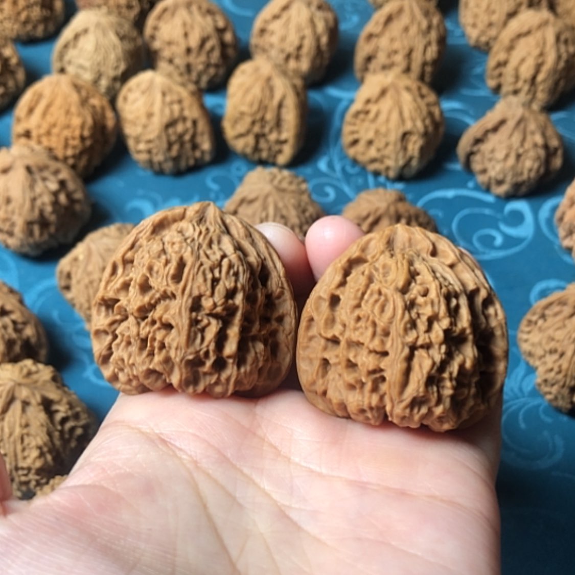 【闪购商品】文玩核桃把件Z****6一代将