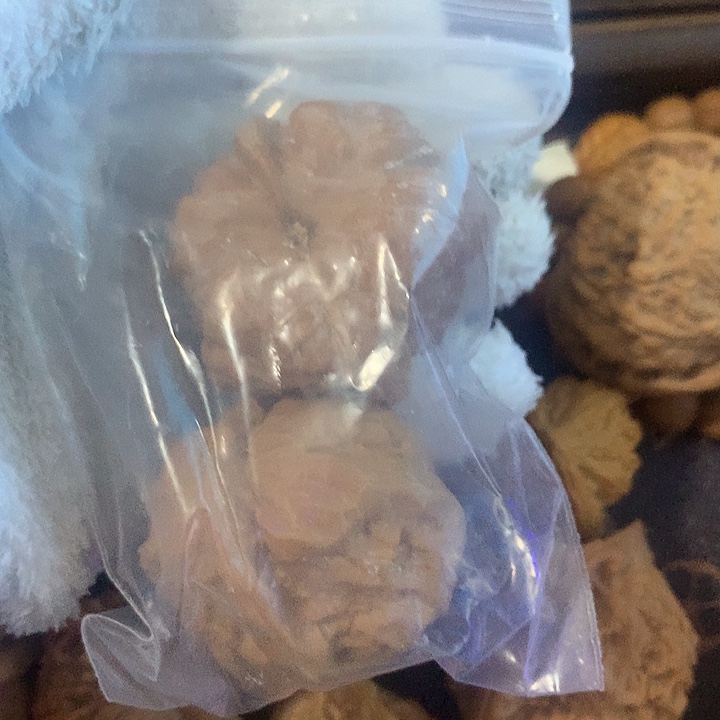 丨***吊坠文玩核桃蛤蟆头手串蛤蟆头