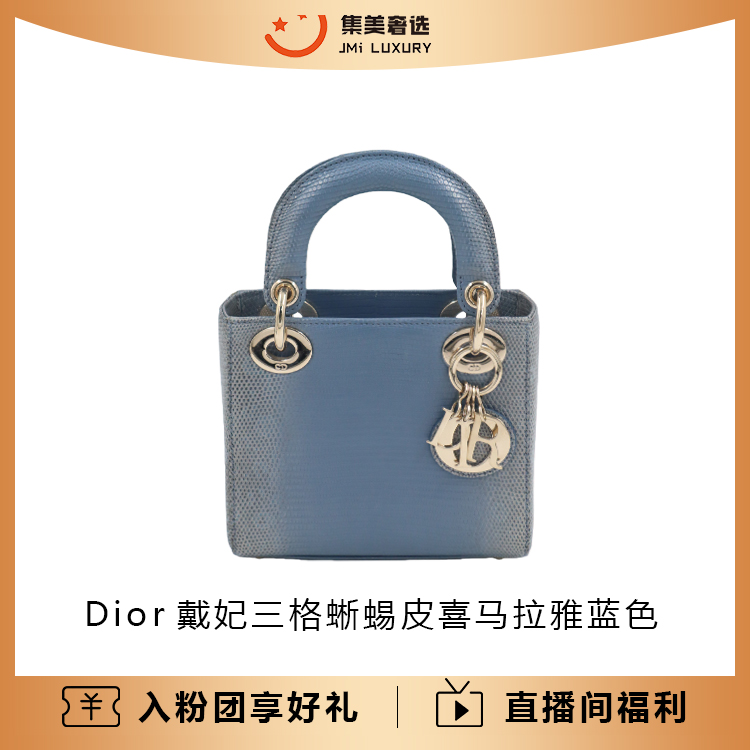 99新 DIOR/迪奥 三格戴妃蜥蜴皮喜马拉雅蓝色时尚包/AM5488