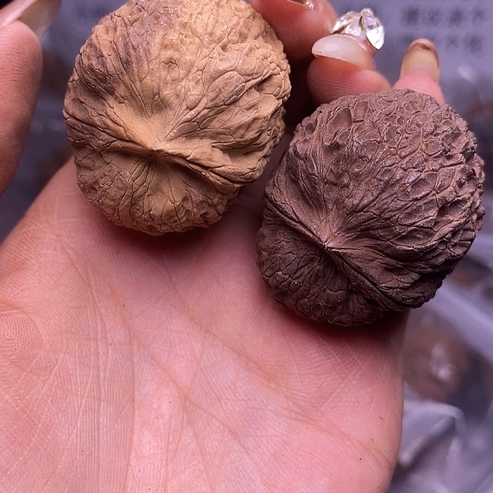 核桃云南野生铁核桃93号40m
