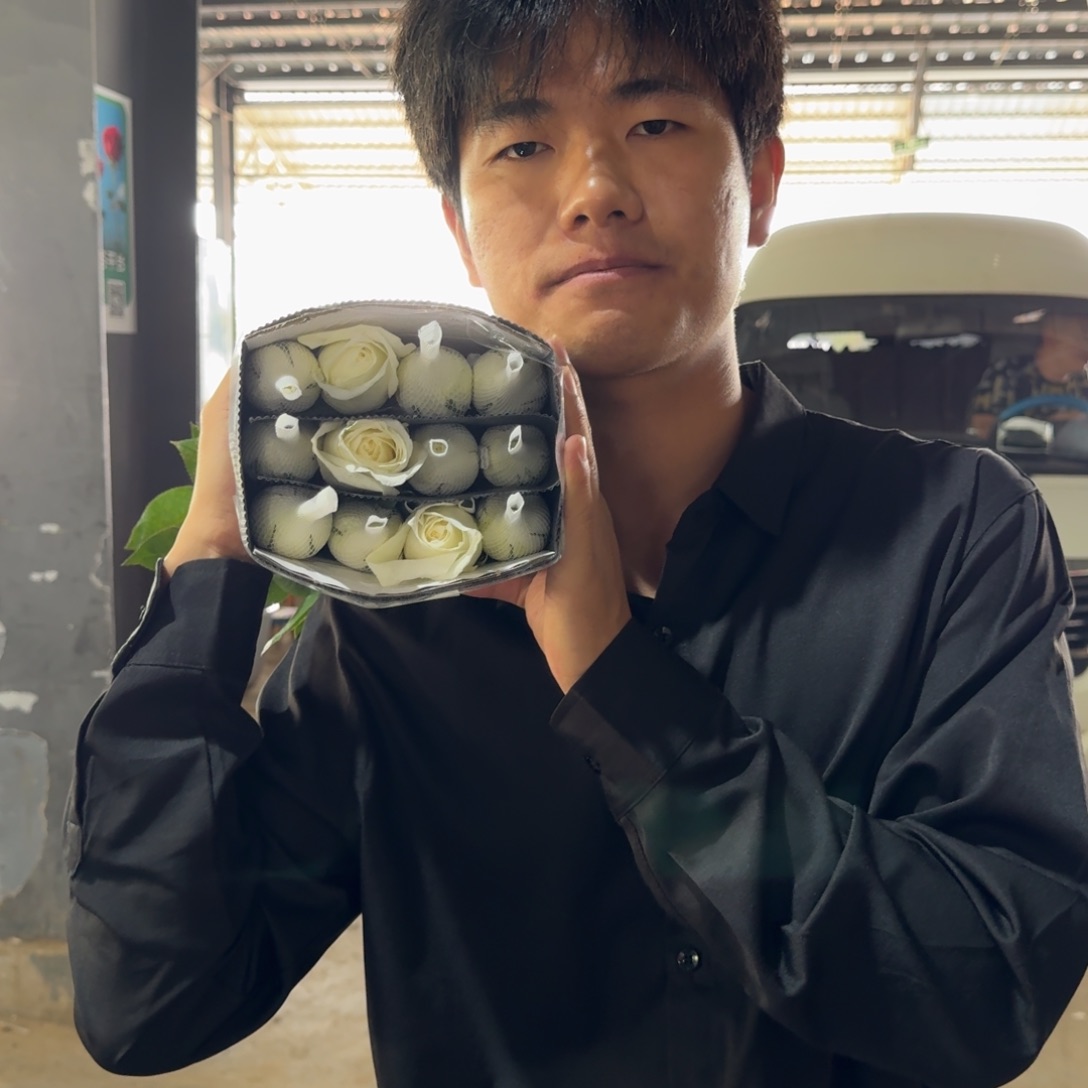 坦尼克1扎2支包邮价秒杀