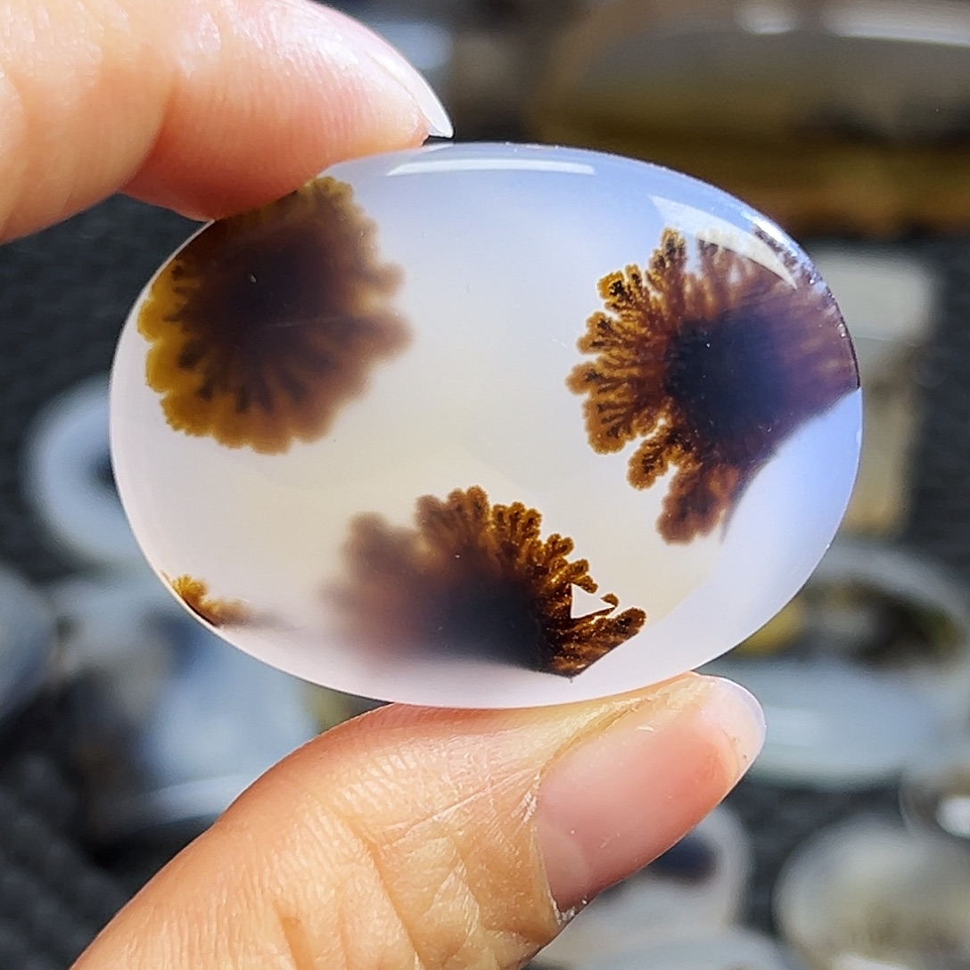 玛瑙/玉髓未镶嵌珠宝半成品