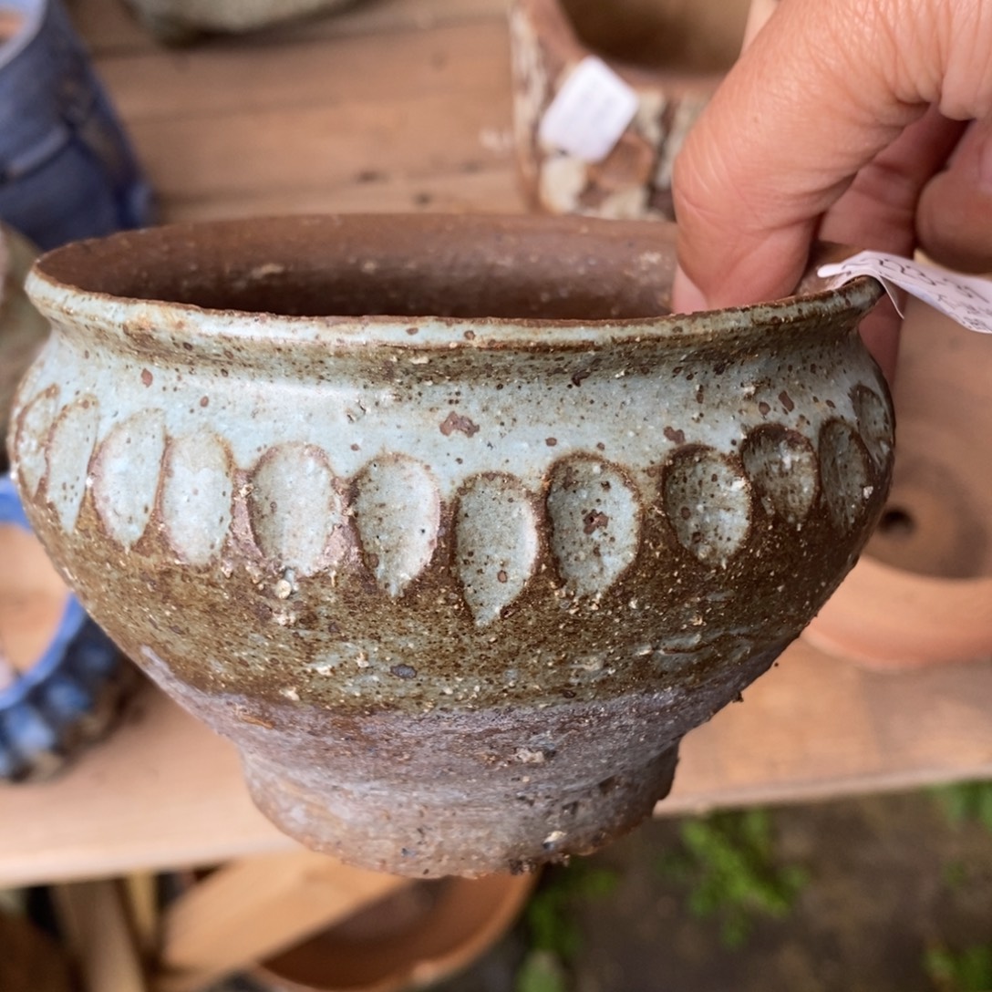 31号多肉盆口径9.5