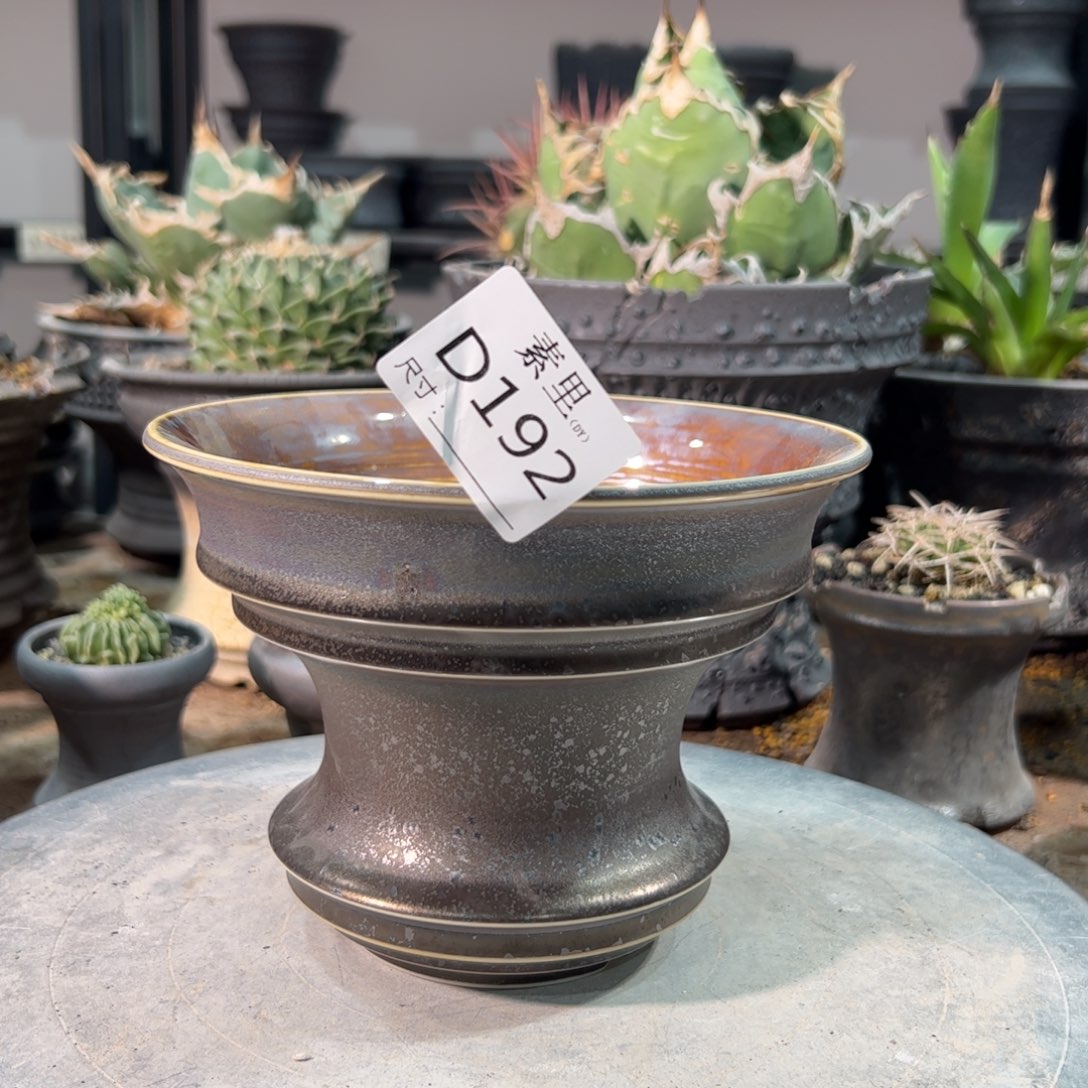 景德镇手工素里内面15.5高12