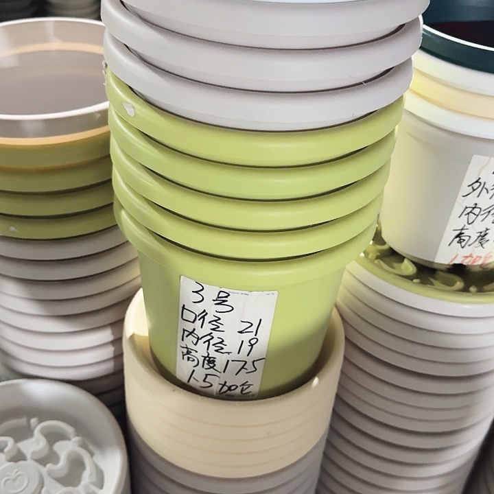 四季3#果绿10个无托