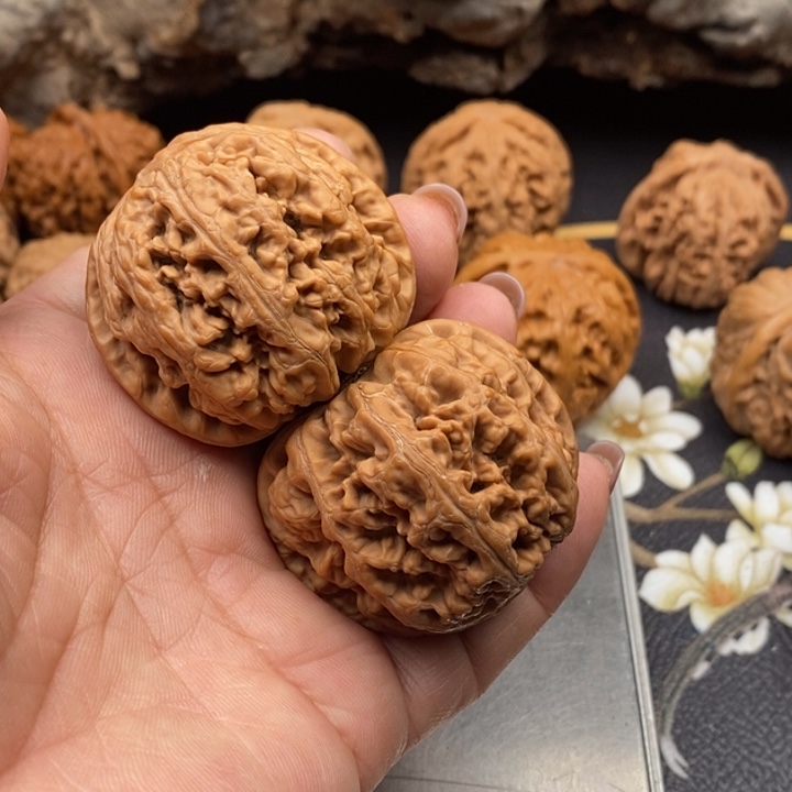 全品无修44新果大粗筋