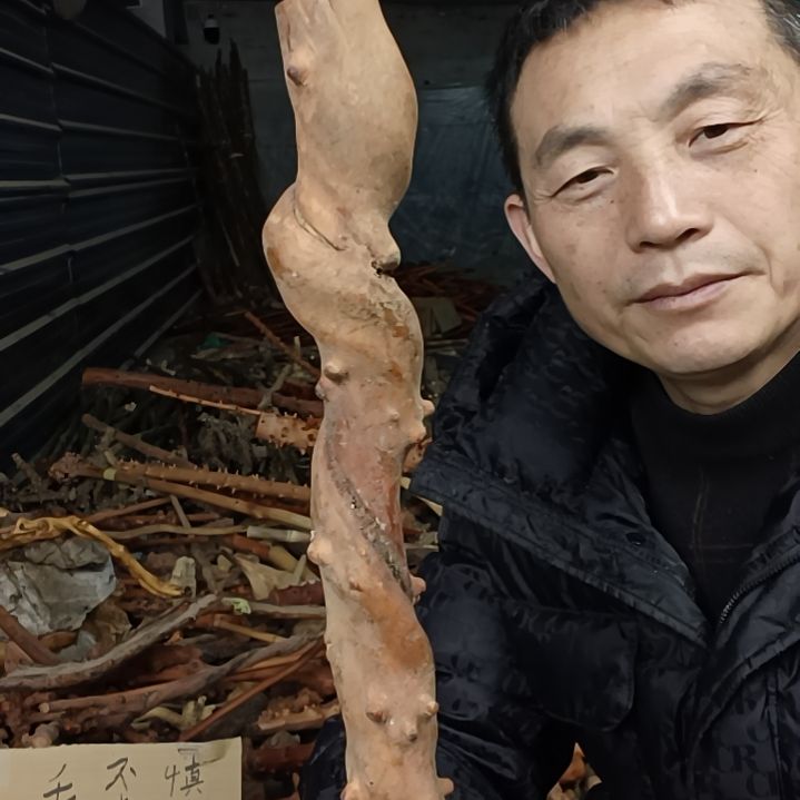 稳定木君*贵州檬子木   铁马鞭   根艺  半成品