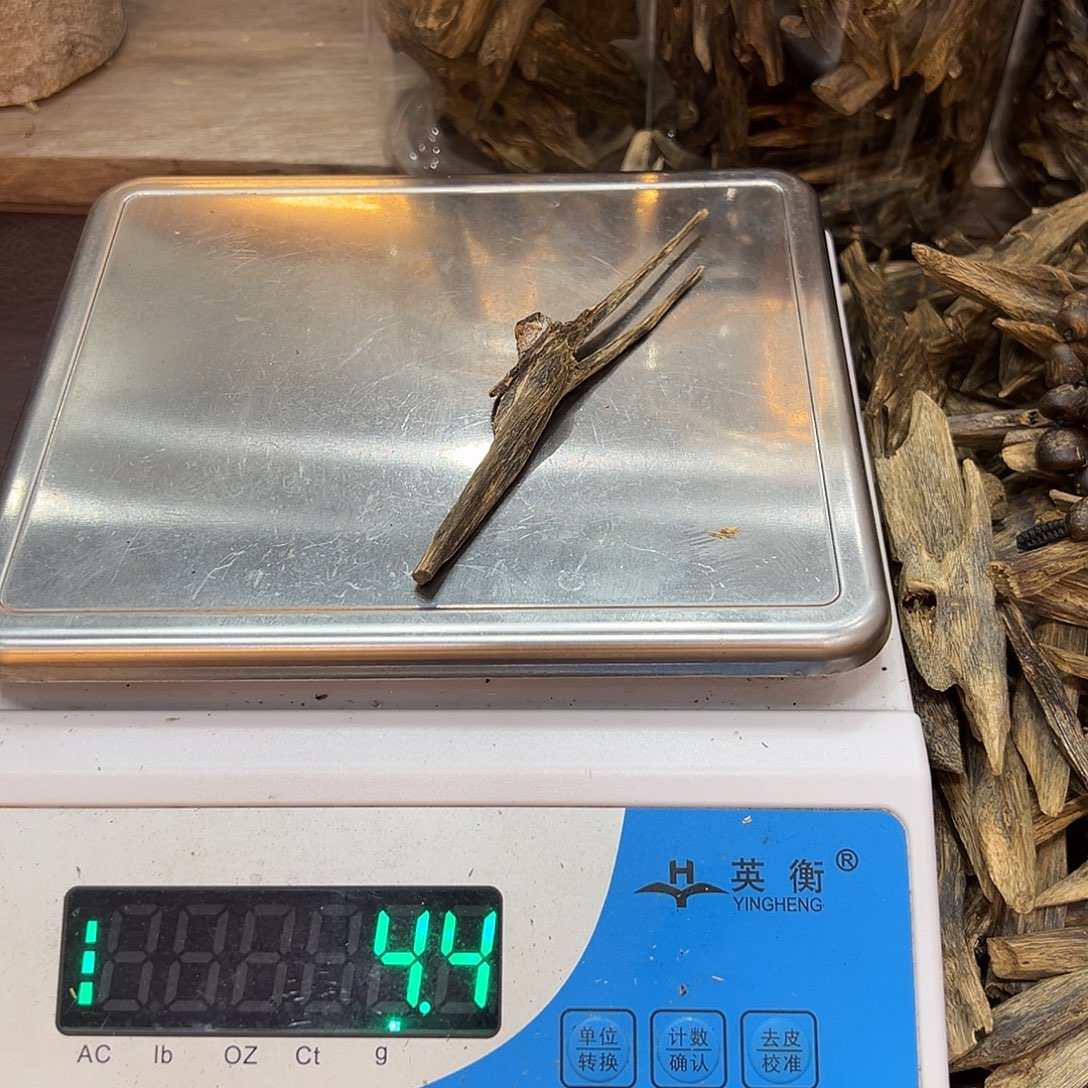 南***、硅胶纯铜树丁长条