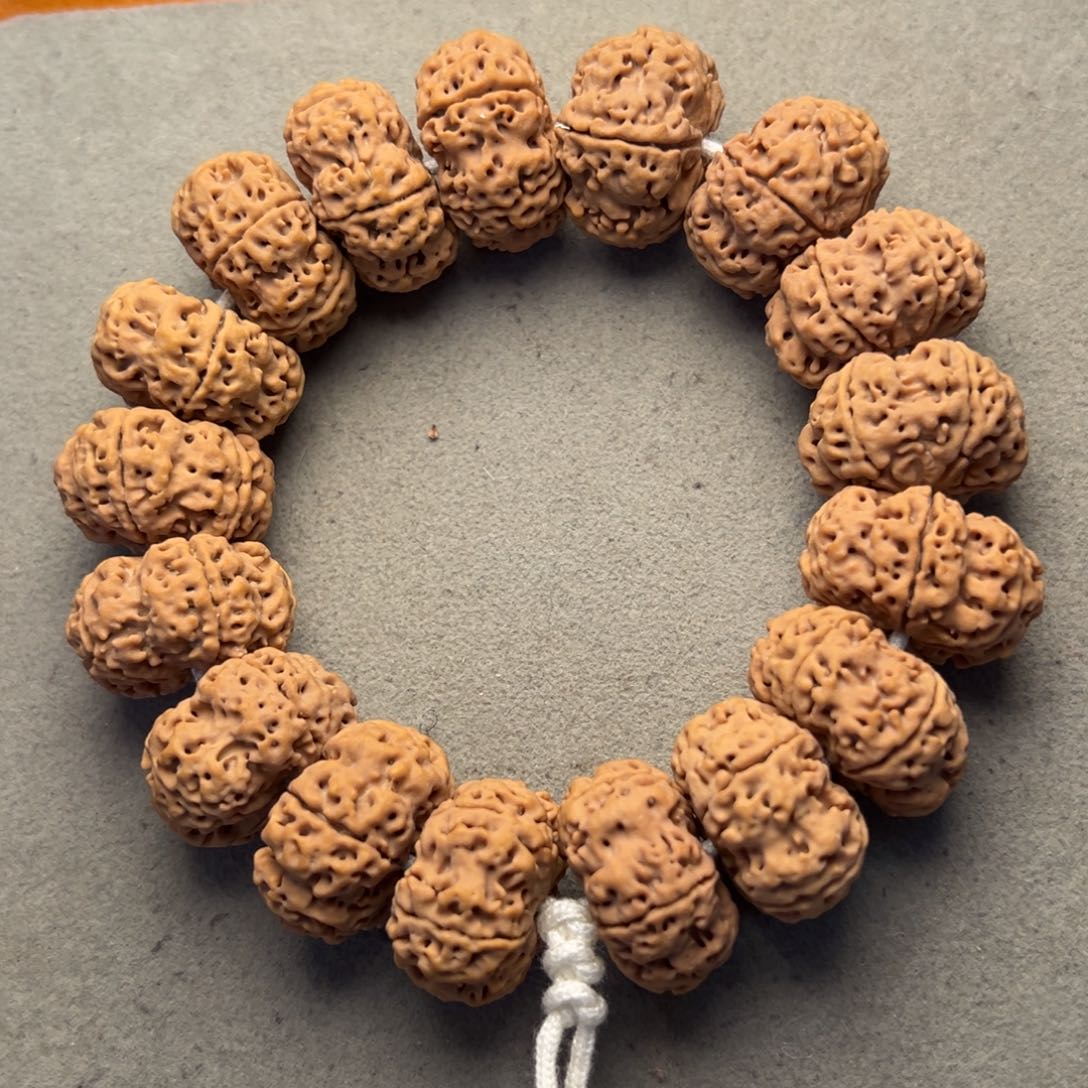 菩提8号金刚菩提夹板24