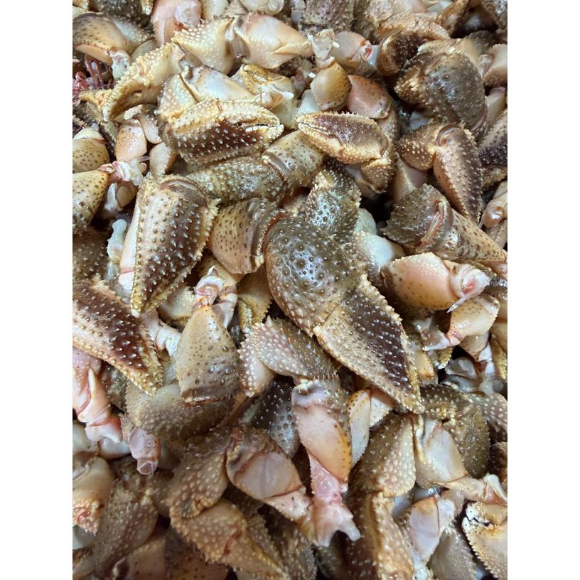 【福利】新鲜虾怪腿寄居蟹钳【顺丰发货】