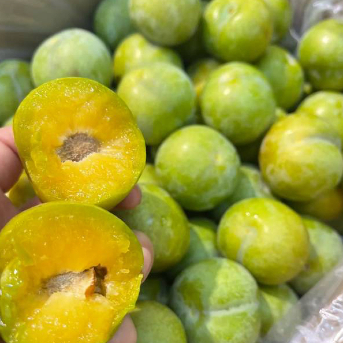 六马蜂糖李 李子 酸甜可口 500g 起步