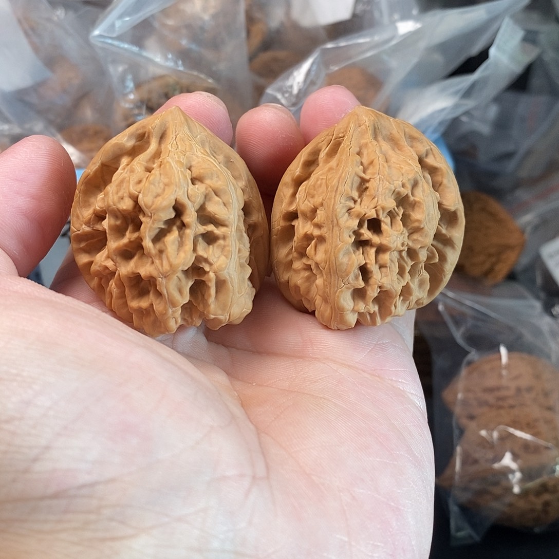 1文玩核桃承德粗筋马蹄40-311
