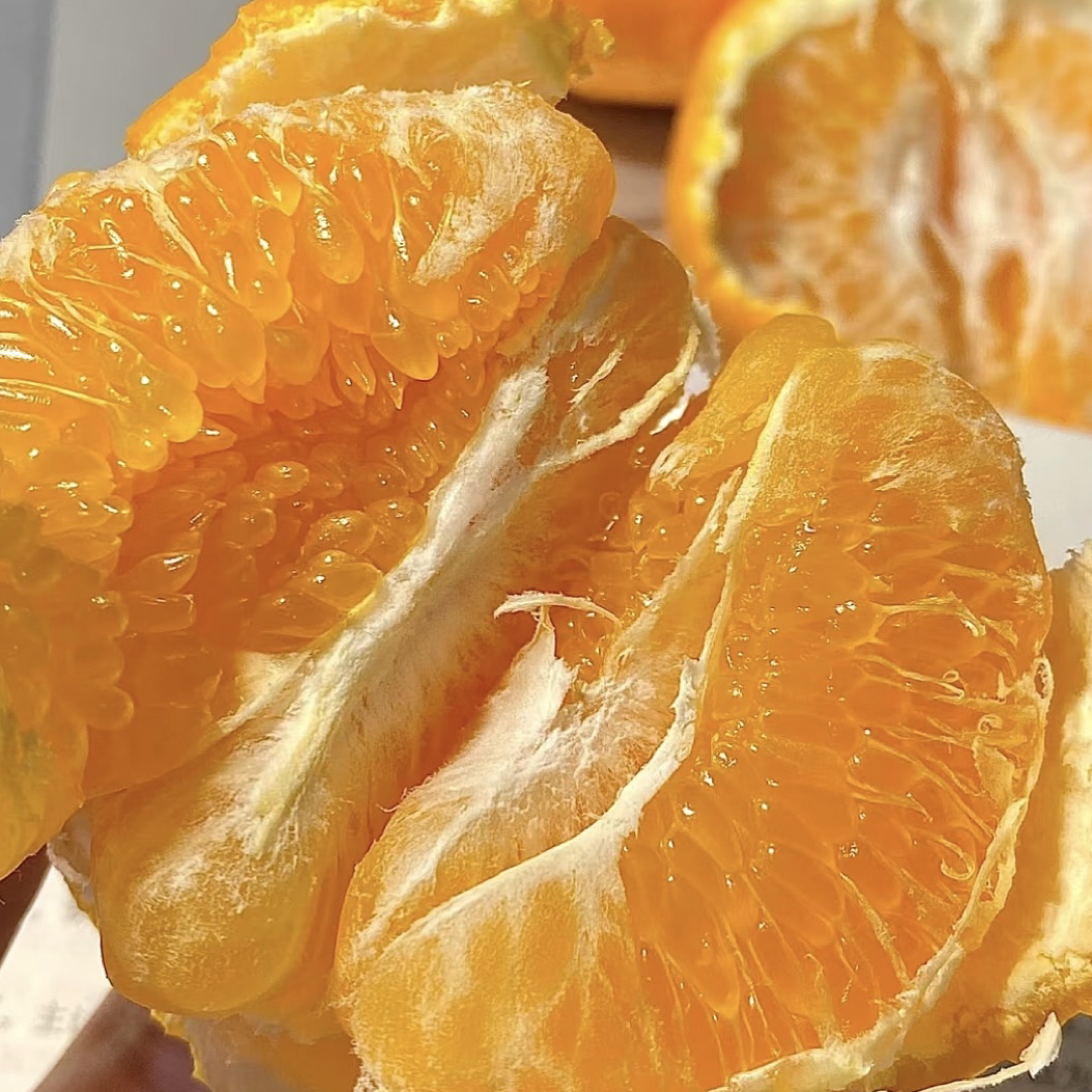 【虎头耙耙柑】春见耙耙柑净重3斤 顺丰包邮四川省