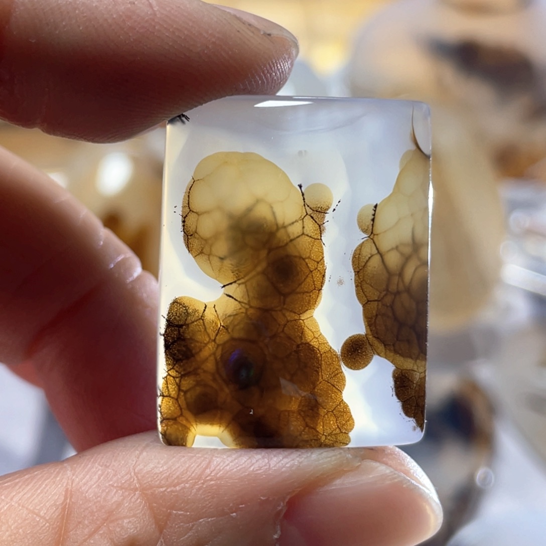 【闪购商品】玛瑙/玉髓颈饰合金