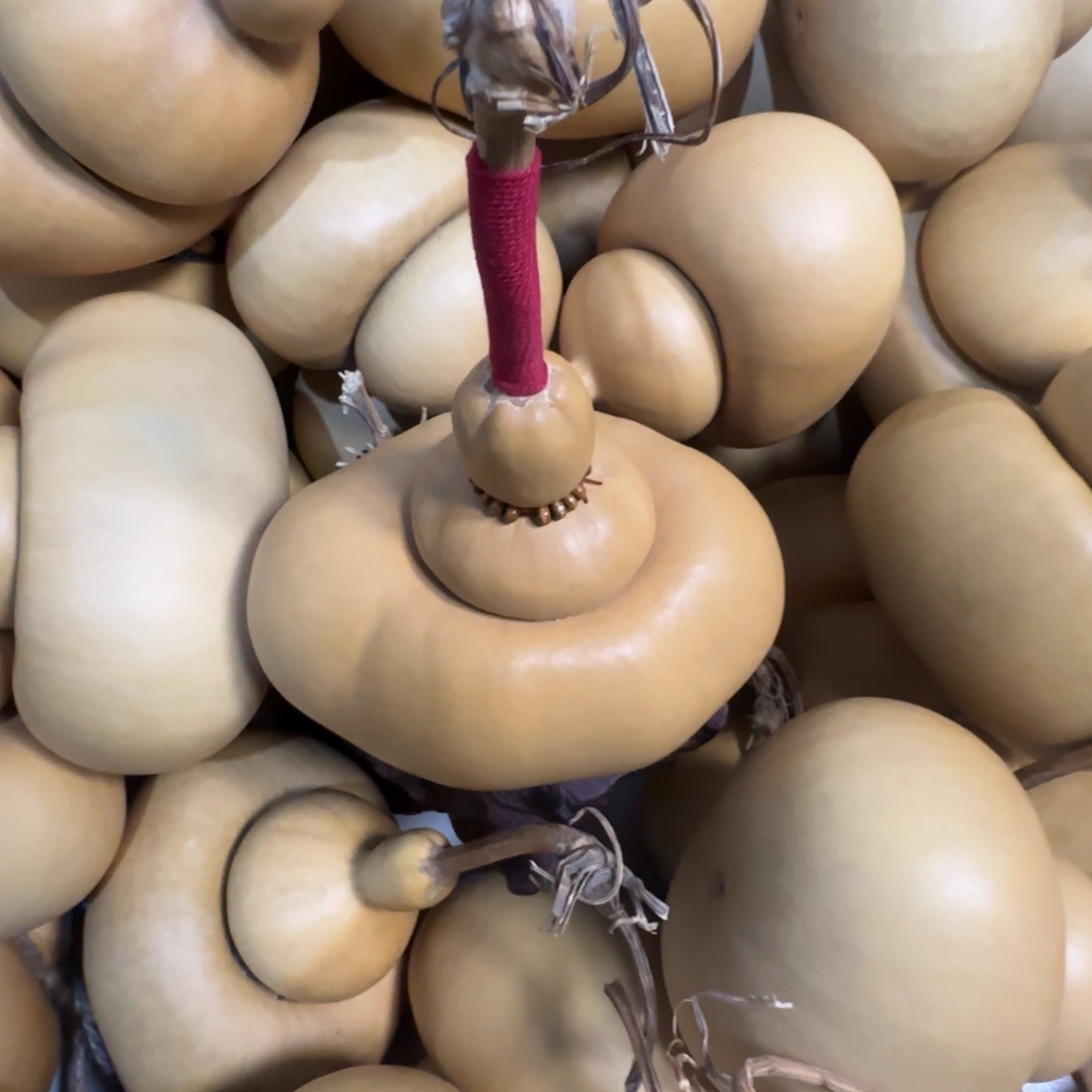 国***）直播间钱袋子一物一价