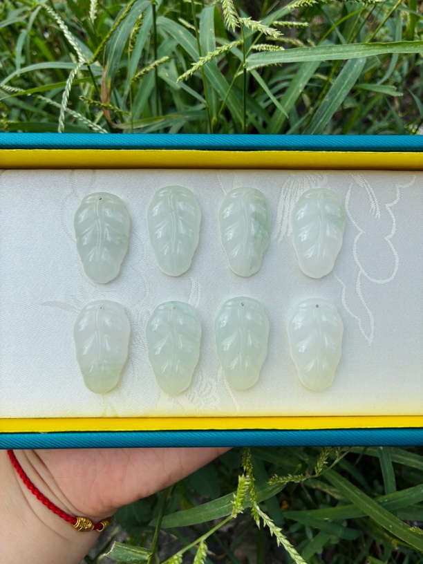 新疆天山翠树叶，拍一发一送绳子