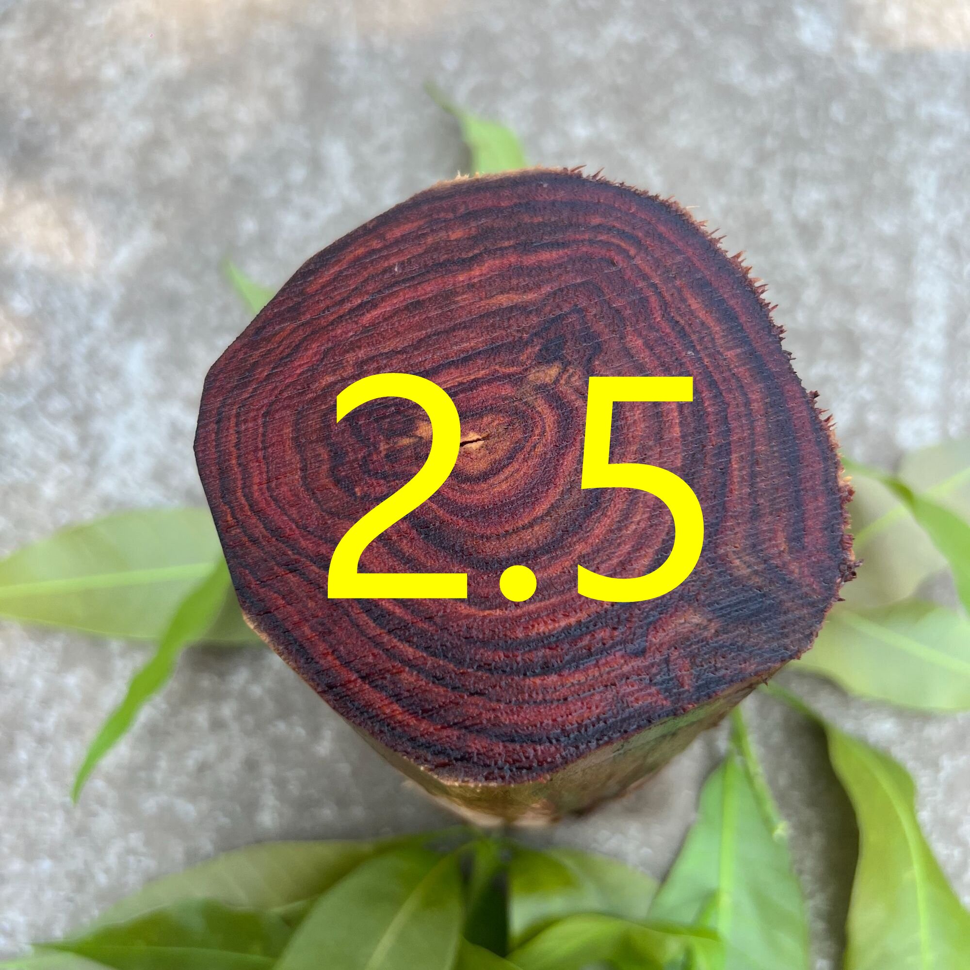 海南黄花梨定制2.5X10颗手串 所见即所得