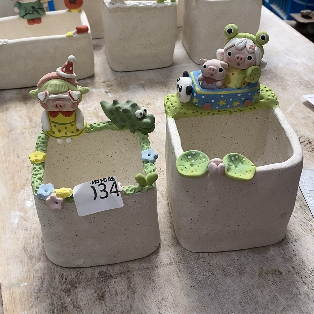 米诺多肉植物花盆034