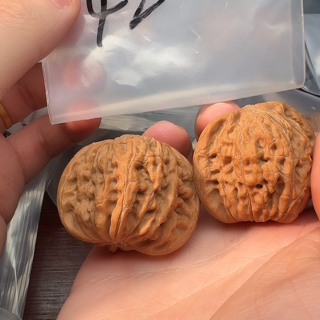 磨盘狮子头啦啦啦啦啦啦