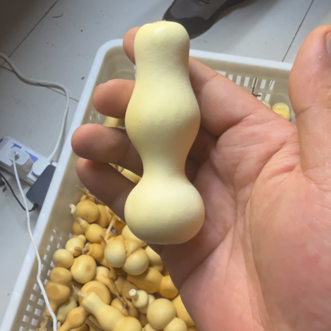 山***秋葫芦葫芦葫芦葫芦葫芦