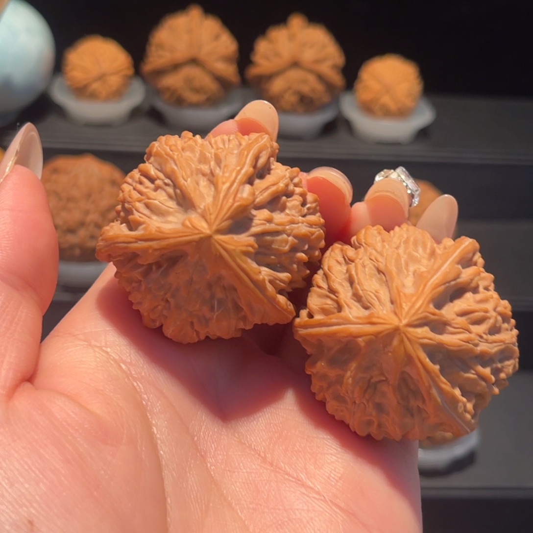 御龙粗筋40，精品，货头