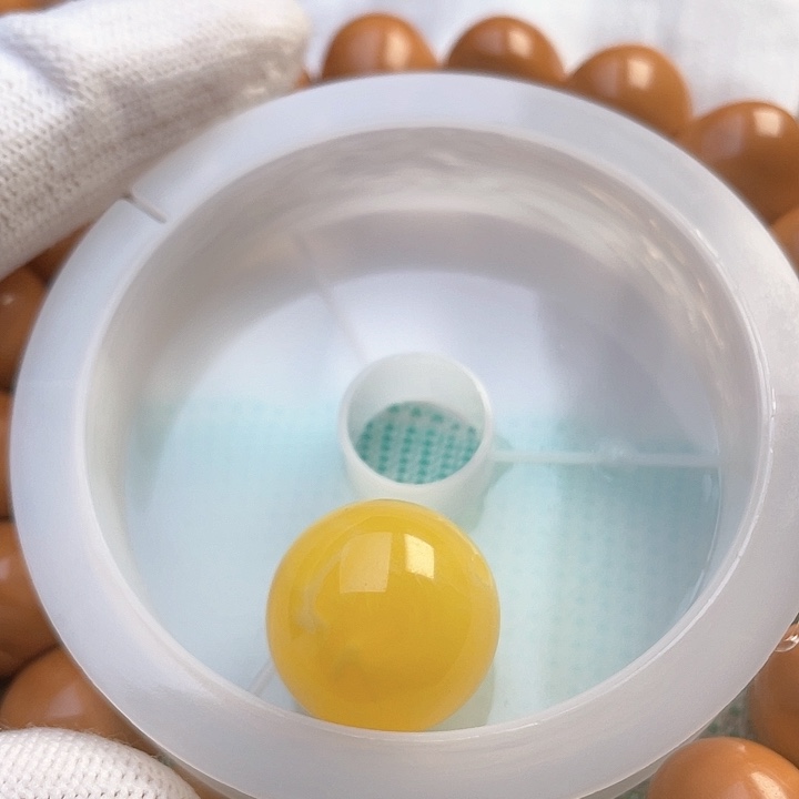 手串猴头核桃?屁桃88