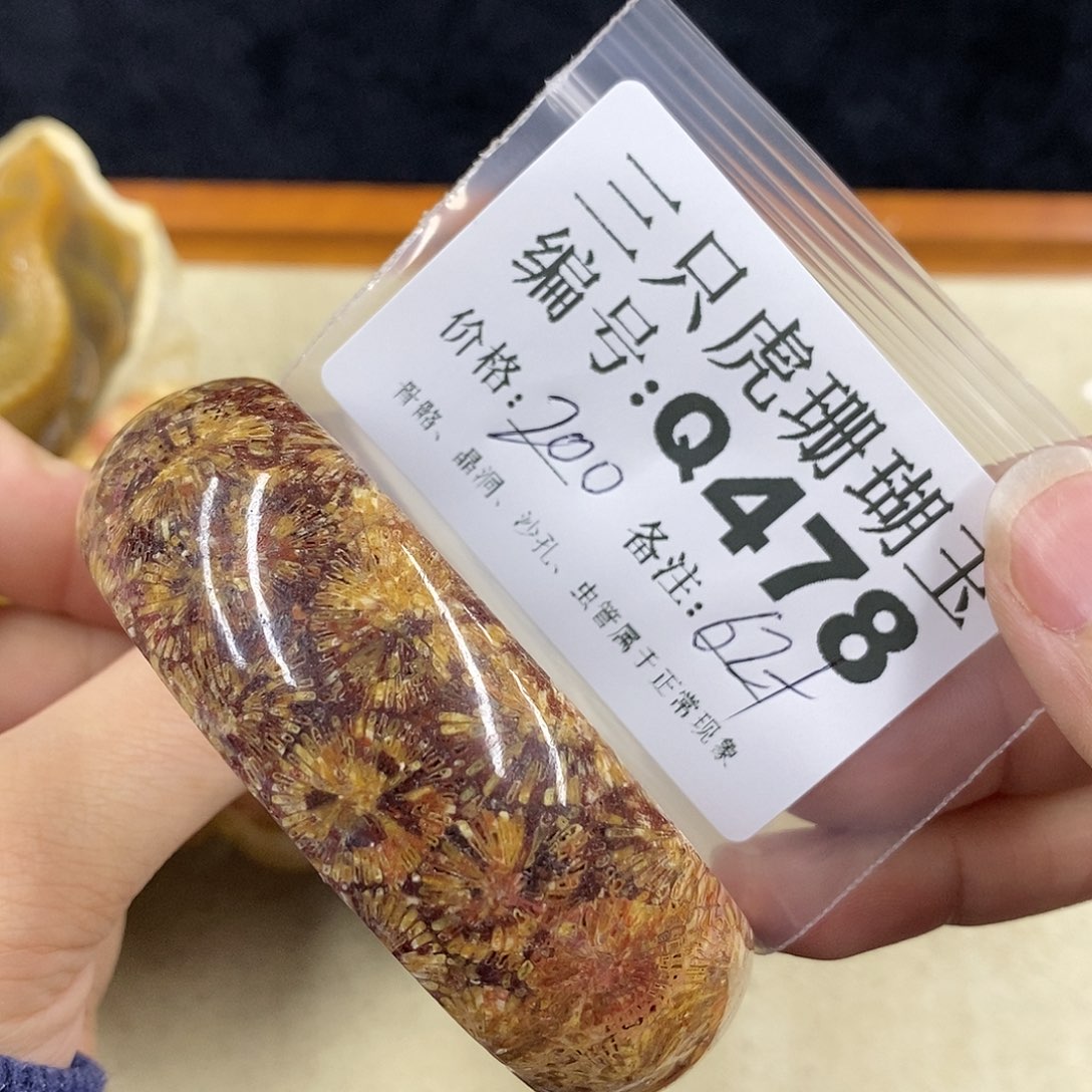 硅化珊瑚（珊瑚玉）1未镶嵌彩*?