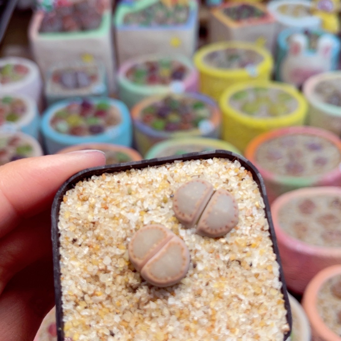 287.  99999999999999999