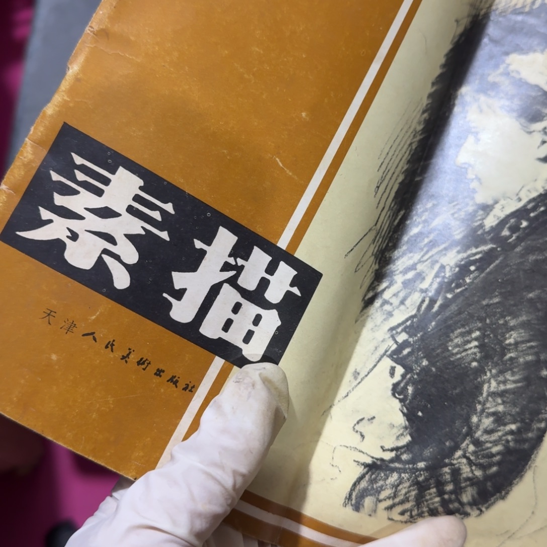 你***！杂色豆（科檀/科特迪瓦檀木）