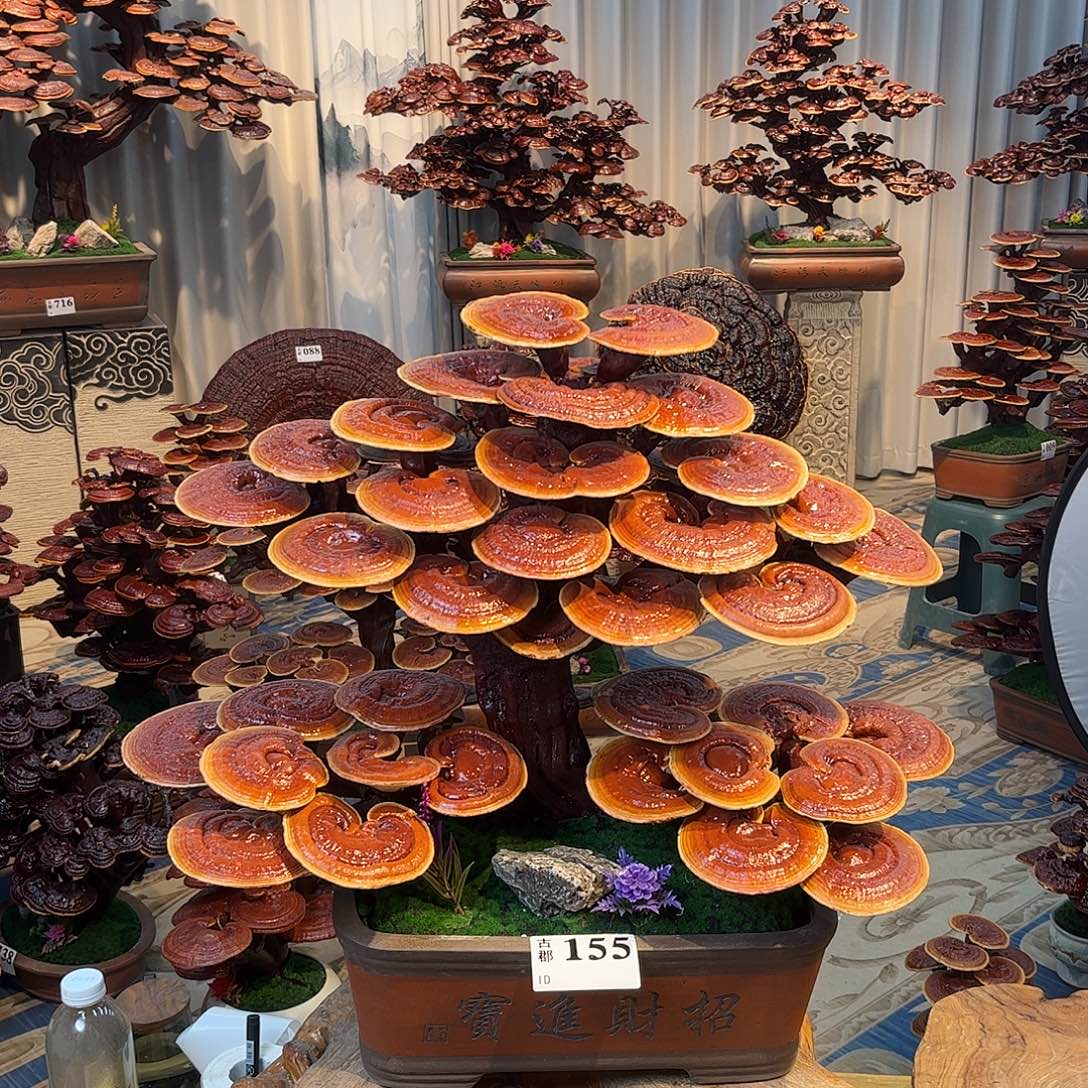 无花朵88888888888988