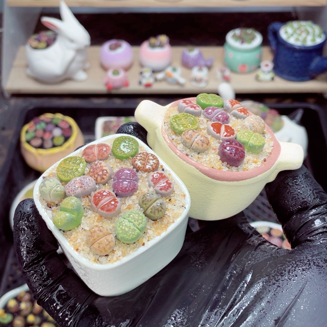 夜间零下地区拍保温箱w3697