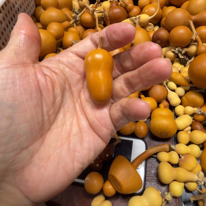 乐**咪乐宝妈咪的一把小瓶子葫芦葫