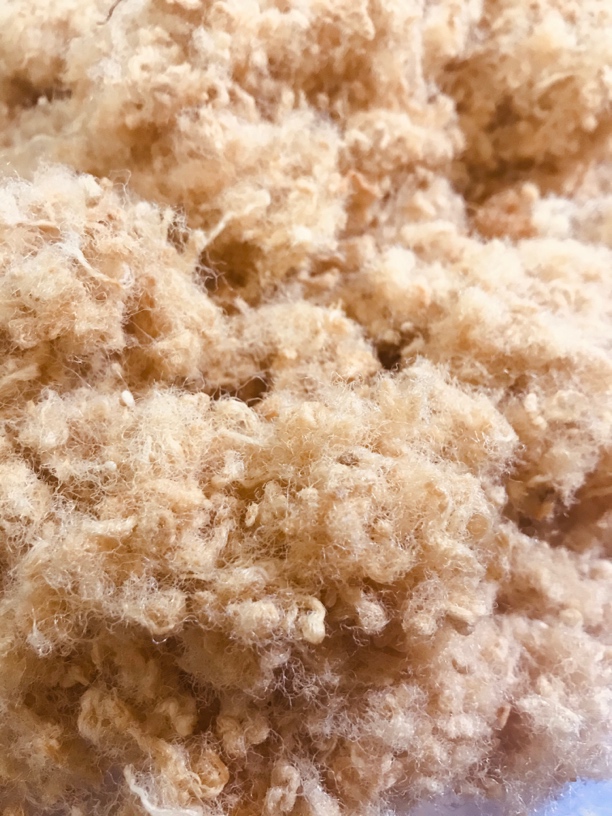 纯手工制作猪肉松