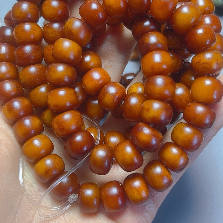 大果紫檀（缅甸花梨）