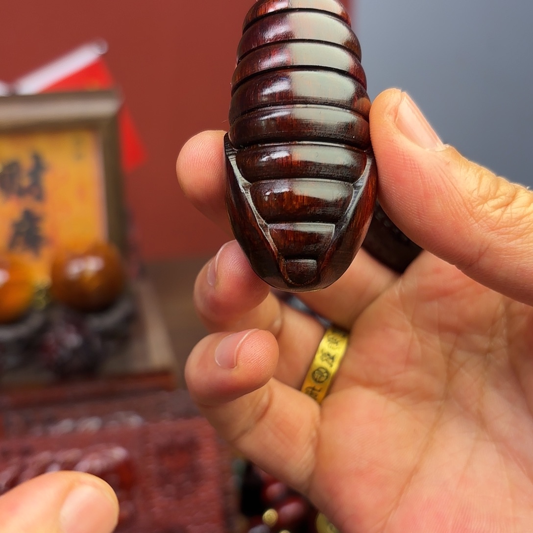 檀香紫檀（小叶紫檀）蛹