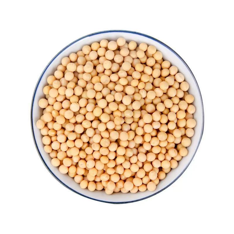 农家自种晒干黄豆