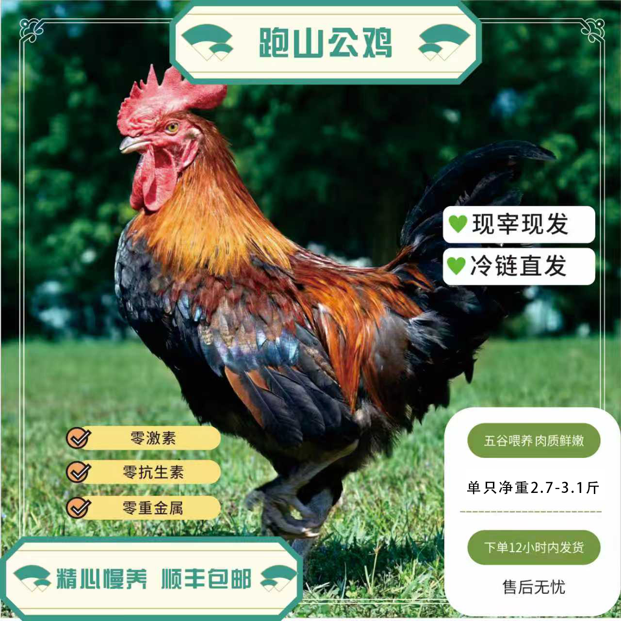 【跑山公鸡】两只装到手5.8-6斤