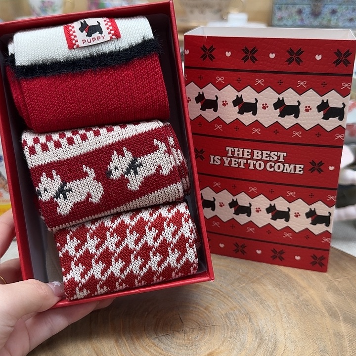 如图所示 雨儿精选