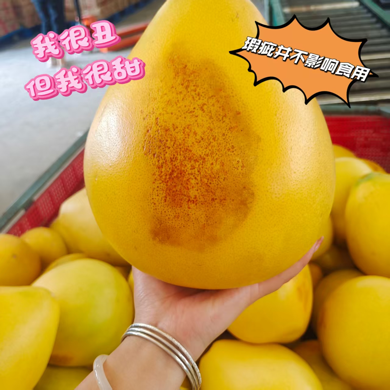 【瑕疵花皮果】福建平和老树蜜柚新鲜采摘皮薄肉厚多汁应季水果