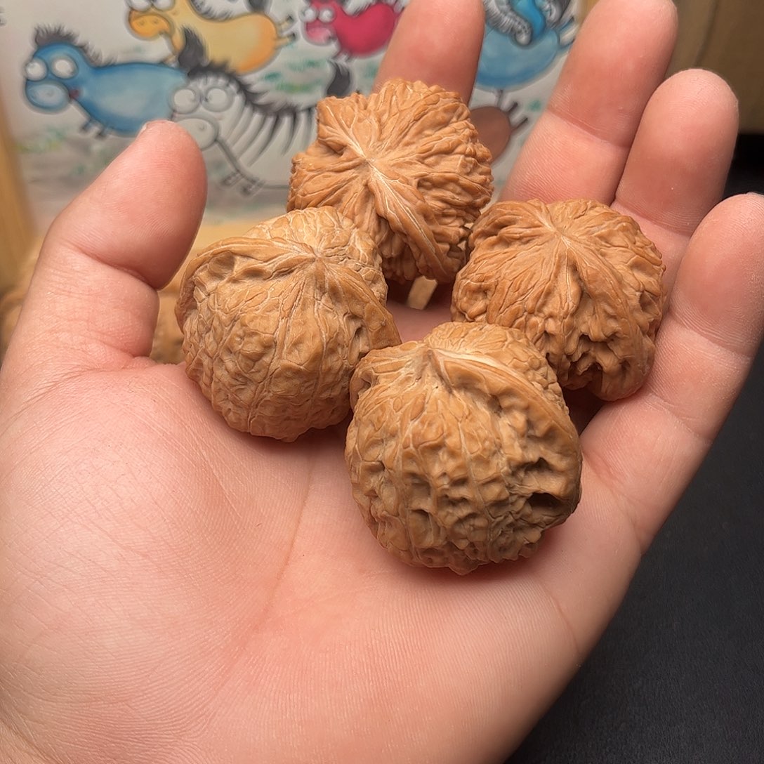 刘***龙全品无修，，，，，，，，，