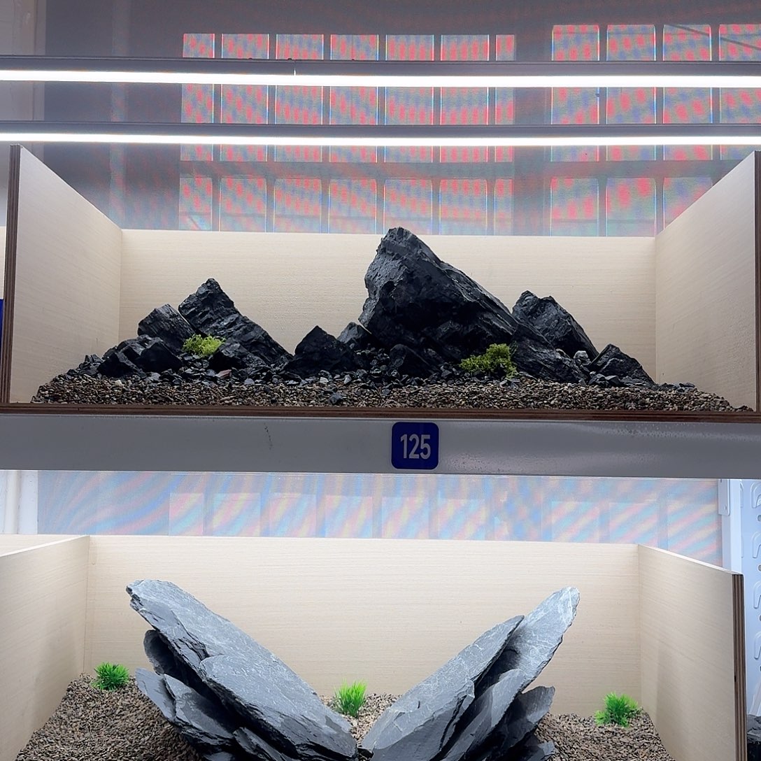 125号造景不要底沙送黑色小石