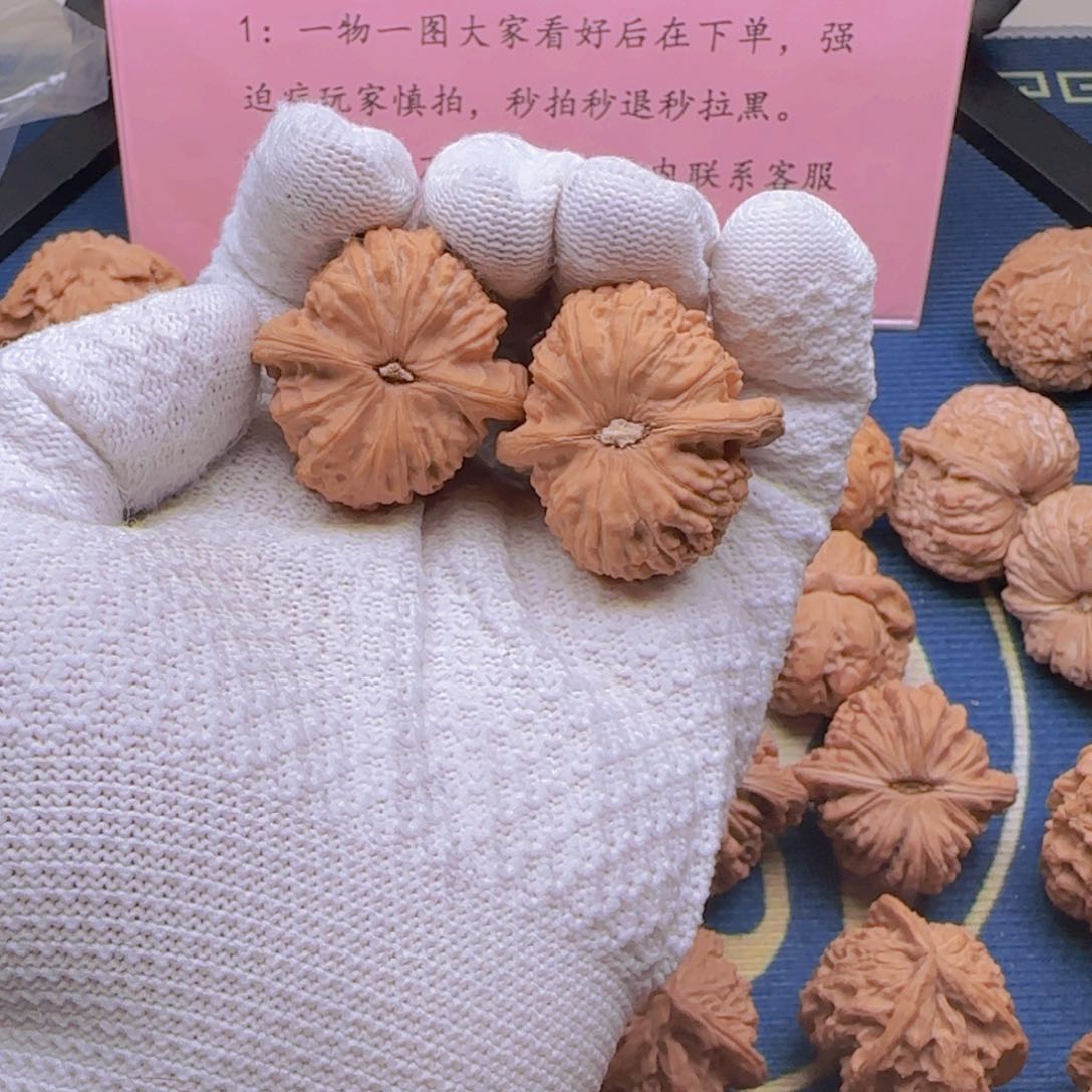 大*~全品无修精品南瓜