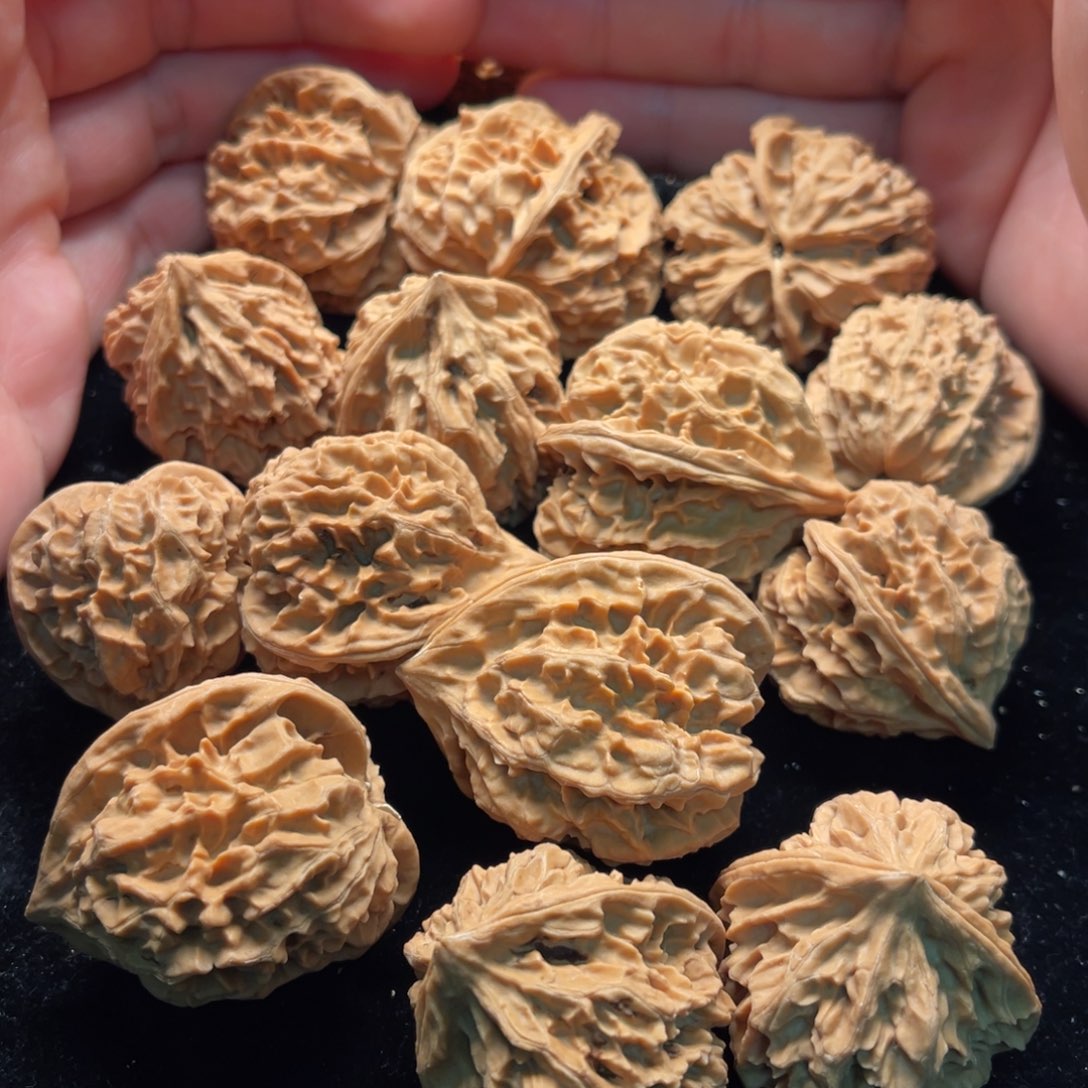 文玩核桃把件野生核桃14个