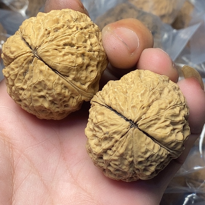 把件文玩核桃云南铁核桃81